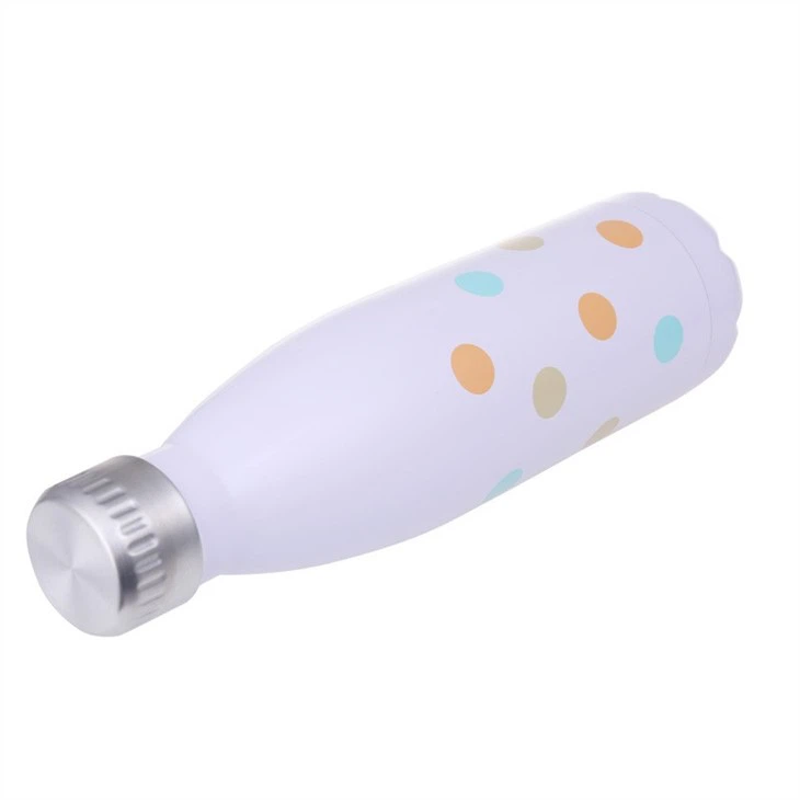 Travel Water Bottle